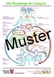 Cover von Poster Physiologie der Zang-Fu