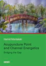 Cover von Acupuncture Point and Channel Energetics