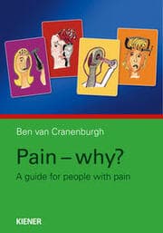 Cover von Pain - why?