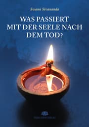 Cover von Was passiert mit der Seele nach dem Tod?