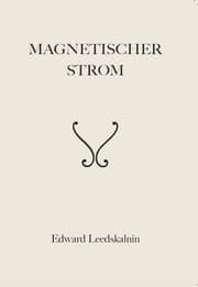 Cover von Magnetischer Strom