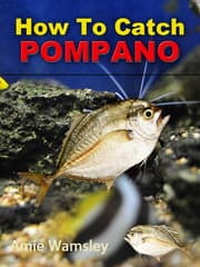 Cover von How To Catch Pompano