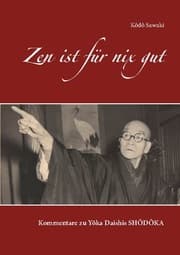 Cover von Zen ist für nix gut
