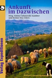 Cover von Ankunft im Dazwischen