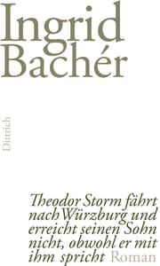 Cover von Theodor Storm fährt nach Würzburg und erreicht seinen Sohn nicht, obwohl er mit ihm spricht