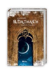 Cover von Ildathach. Jenseits des Vergessens.