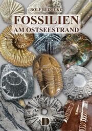 Cover von Fossilien am Ostseestrand