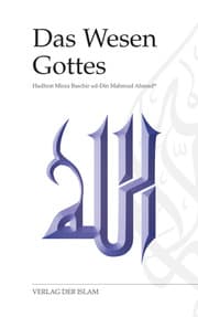 Cover von Das Wesen Gottes