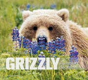 Cover von Grizzly