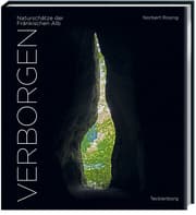 Cover von Verborgen