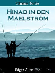 Cover von Hinab in den Maelström