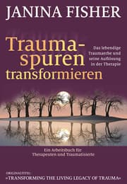 Cover von Traumaspuren transformieren