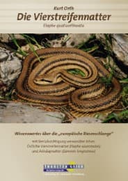 Cover von Die Vierstreifennatter Elaphe quatuorlineata