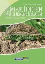 Cover von Heimische Eidechsen im Freiland und Terrarium