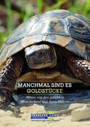 Cover von Manchmal sind es Goldstücke