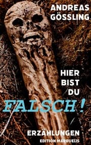 Cover von Hier bist du falsch!