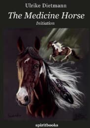 Cover von The Medicine Horse