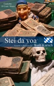 Cover von Stei da voa