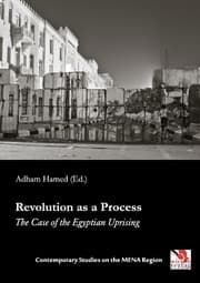 Cover von Revolution as a Process
