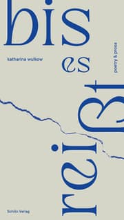 Cover von bis es reißt
