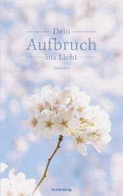 Cover von Dein Aufbruch ins Licht