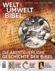 Cover von Die abenteuerliche Geschichte der Bibel