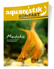 Cover von Medaka - aquaristik KOMPAKT