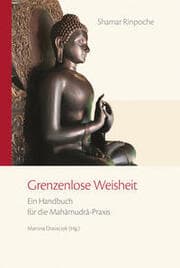 Cover von Grenzenlose Weisheit