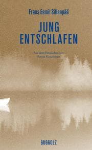 Cover von Jung entschlafen