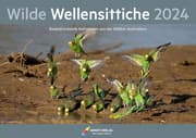 Cover von Kalender Wilde Wellensittiche 2024