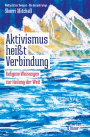 Cover von Aktivismus heißt Verbindung
