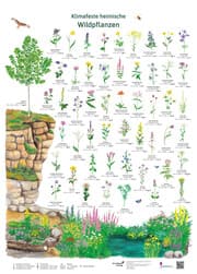 Cover von Klimafeste heimische Wildpflanzen