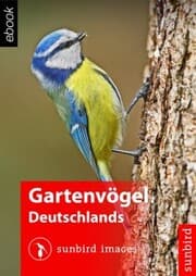 Cover von Gartenvögel Deutschlands - Vögel Erkennen, Bestimmen und Schützen