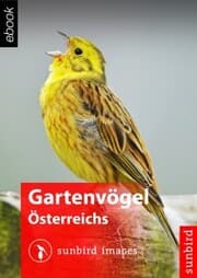 Cover von Gartenvögel Österreichs - Vögel Erkennen, Bestimmen und Schützen