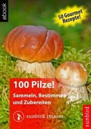 Cover von 100 Pilze! Sammeln, Bestimmen und Zubereiten