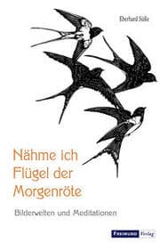 Cover von Nähme ich Flügel der Morgenröte