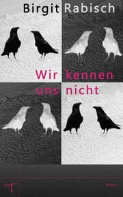 Cover von Wir kennen uns nicht