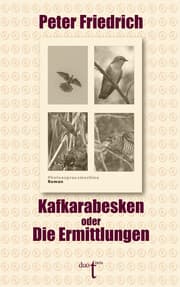 Cover von Kafkarabesken oder Die Ermittlungen