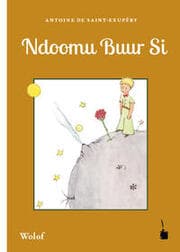 Cover von Ndoomu Buur Si