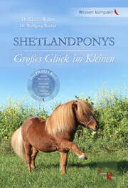 Cover von Shetlandponys