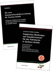 Cover von Doppisches Rechnungs- und Haushaltswesen für die Kommunen in Sachsen-Anhalt