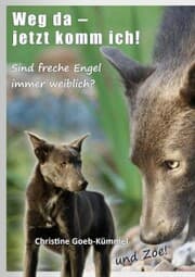 Cover von Weg da - jetzt komm ich!