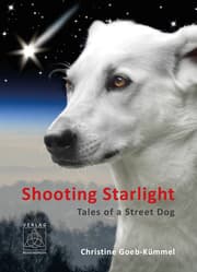 Cover von Shooting Starlight