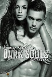 Cover von Dark Souls: Entfesselt