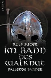 Cover von Im Bann des Walknut: Fallende Banner