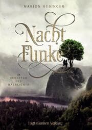 Cover von Nachtfunke 2