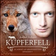 Cover von Kupferfell, Episode 5 - Fantasy-Serie