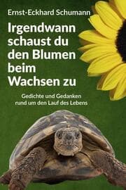 Cover von Irgendwann schaust du den Blumen beim Wachsen zu