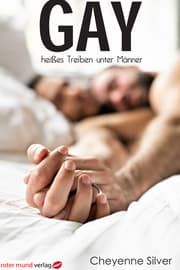 Cover von Gay - heißes Treiben unter Männern