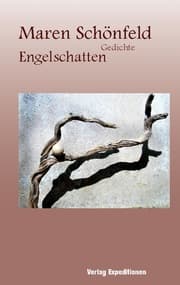 Cover von Engelschatten